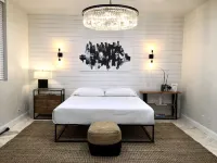 Modern 4 bed/2bath Beach House Casa de la playa By the Don Cesar Hotels near Pass A Grille Dog Beach