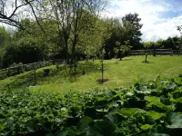 Characterful cottage in beautiful, quiet, rural location close to the coast.