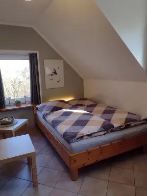 You will find a peaceful idyll and relaxation here in the Apartment-Feldsteingarten.