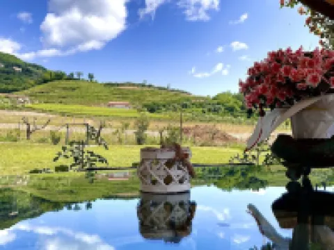 At the White House - Lavender Hotel a Negrar di Valpolicella