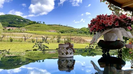 At the White House - Lavender Отели рядом с достопримечательностью «Villa Mosconi Bertani»