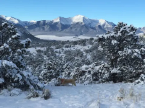 5Br - South Main's Iconic Green Craftsman Retreat - Steps to River & Parks