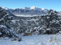 5bd Craftsman Gathering House. Best location in South Main! Steps from park!