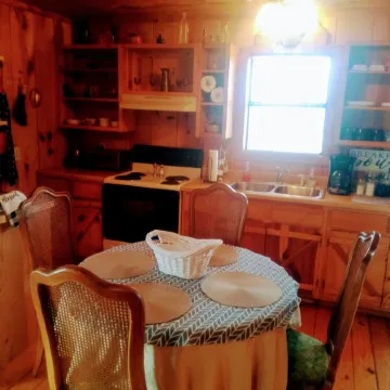 Stunning  Cabin. On a Mountain Ridge! Perfect vacation getaway for all ages!