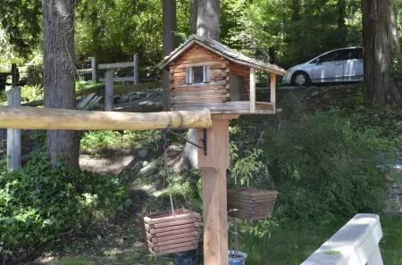 Guppies Lake Cottage - Private Access Lake Dock, close to Mt. Rainier