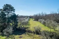 Villa with 2 spacious apartments for 2 x 7 people and swimming pool near Pisa and the sea