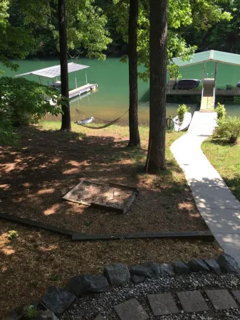 Quiet cove, deep water, minutes to Clemson, pet friendly, easy path to the dock