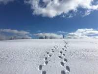 Classic Vermont farm property on 160 acres with breathtaking views and property