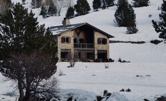 L'Ovella Negra Mountain Lodge