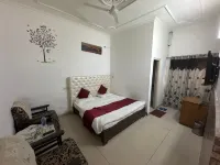Hotel Amar Palace