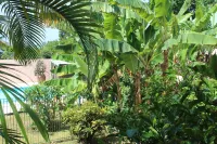 cottages with swimming pool and Spa 900 m from the sea - Swimmingpools