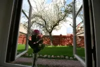 Hotel Denkmal 13 Wismar Hotels in Hornstorf