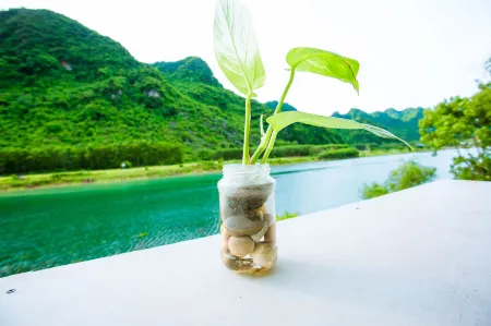 A Little Leaf Homestay Отели в г. Bo Trach District