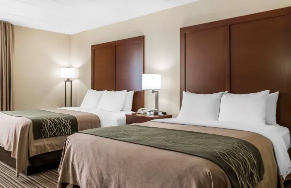 舒適酒店-波科諾山區