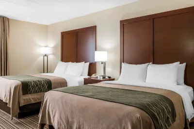 Comfort Inn - Pocono Mountains فنادق في كيدر تاونشيب