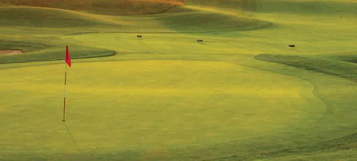 Forest Golf Club and Inn Hotels in Lambton County