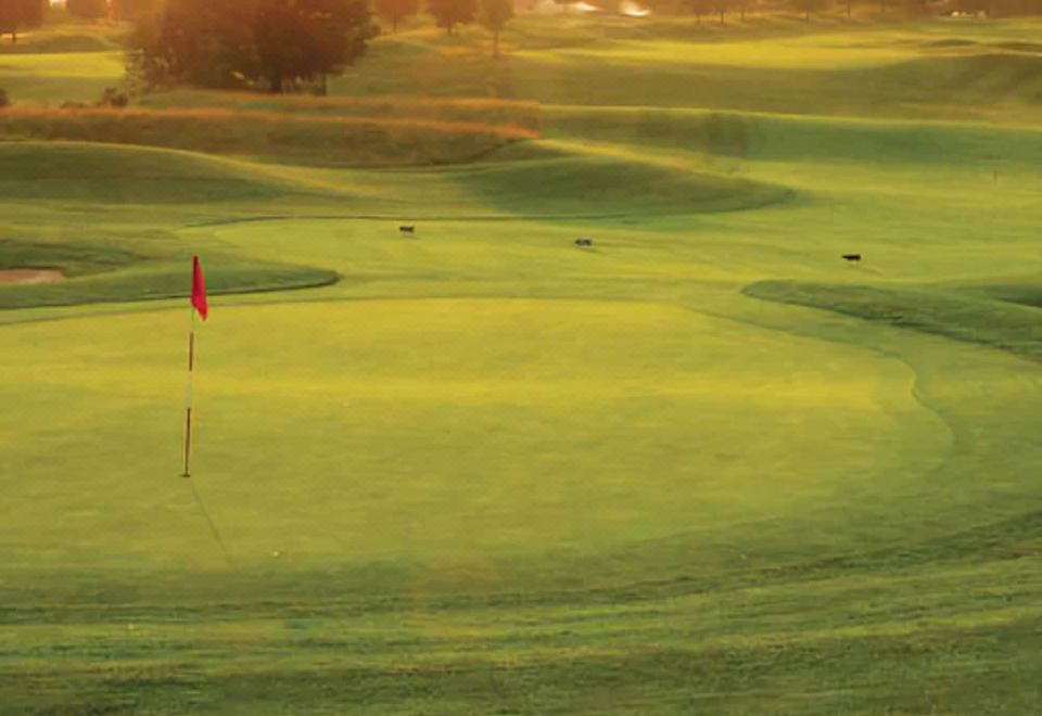 포레스트 골프 클럽 & 인