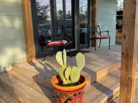 Charming 2-bedroom bungalow, near fabulous wineries, 25 mins from Marble Falls Hotels in Buchanan Dam