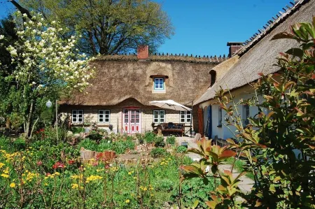 Pure idyll in a secluded location under the thatch at the edge of the forest Отели в г. Шнаруп-Тумби