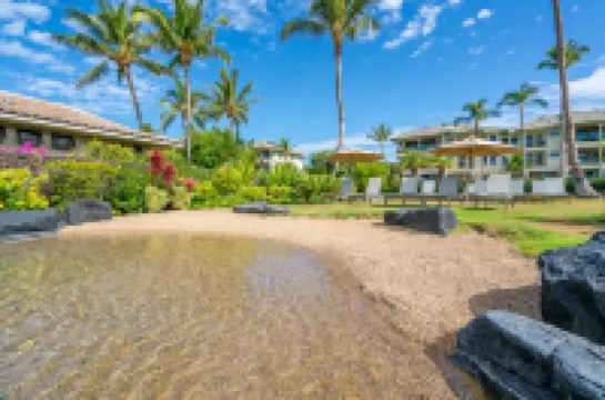 Direct Beach Access and Infinity Pool - Luxurious Coastal Haven