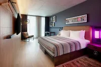Moxy Montreal Downtown - Evcil Hayvan Kabul Edilen Alan