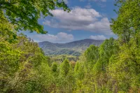 Enchanting Views and Cozy Deck - Charming Mountain Escape Hotels in Polk County