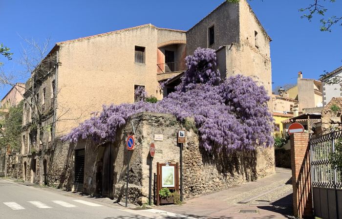 -- DeAjala B&B de Charme by Le Dimore del Borgo -- Antica e affascinante dimora nel cuore di Laconi - Colazione dei Centenari - Degustazioni - Natura Storia Spiritualità e tradizioni della Sardegna interna - Ambienti climatizzati -