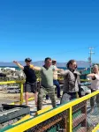 ChangoMango - con vistas a la montaña