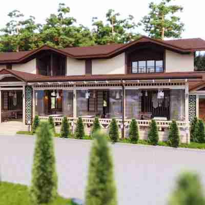 Complex Turistic Codru Hotel Exterior