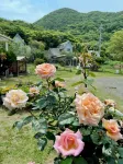 Rental Cottage Santorope فنادق في كيوتانغو