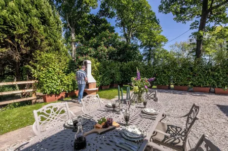 The Forest at Mount Congreve Gardens