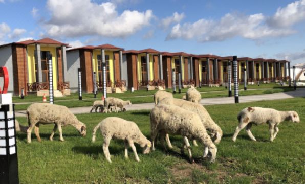 Tefenni Garden House