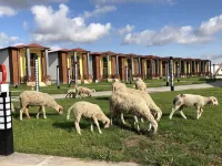 Green Garden House Hotel Hotels in 