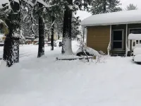 Mountain View Cabins Hotele w: Wrightwood
