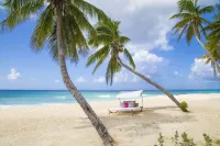O2 Beach Club & Spa All Inclusive by Ocean Hotels - 5-Star