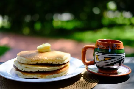 Manglar Lodge Отели в г. Сан Карлос