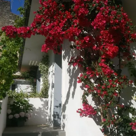 Le Clos Chez Michel