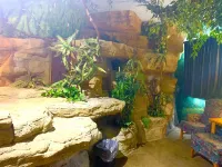 Don Q Inn Hotel a Brigham