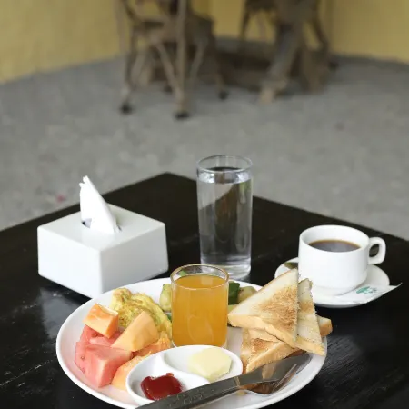Hotel Tourist Residency and Homeland Forest Villa