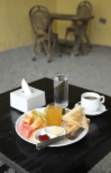 Hotel Tourist Residency and Homeland Forest Villa