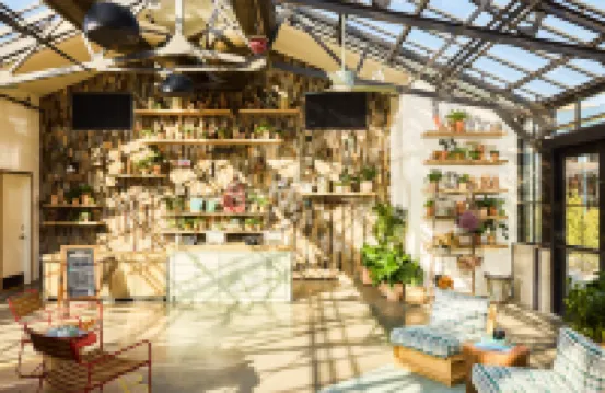 Treehouse Hotel Silicon Valley