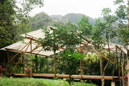 Omega Tours Eco-Jungle Lodge Отели в г. Салитран