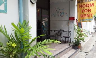 White Orchid Inn I