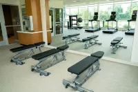SpringHill Suites Woodbridge - Gym