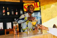 Davinci Gorilla Lodge - bars