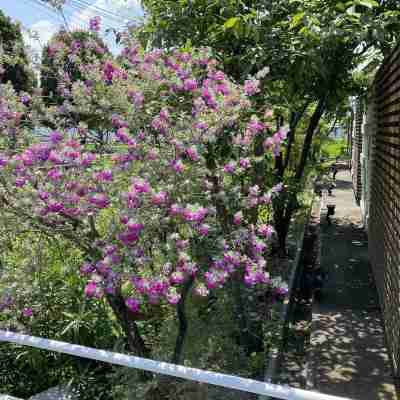 ホテルオアシス Hotel Exterior