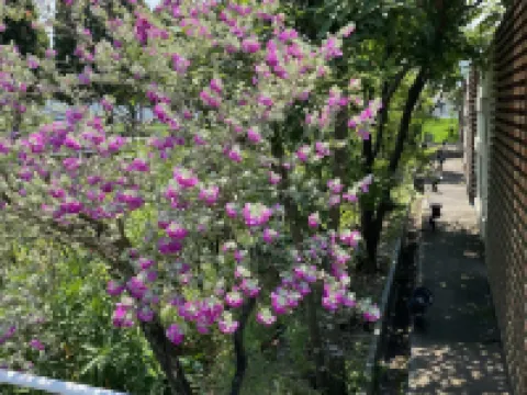 ホテルオアシス 西条のホテル