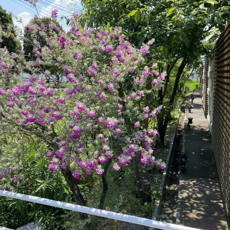 Hotel Oasis - Adults Only