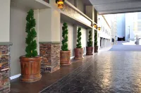 Jockey Club Suites Hotels in Las Vegas