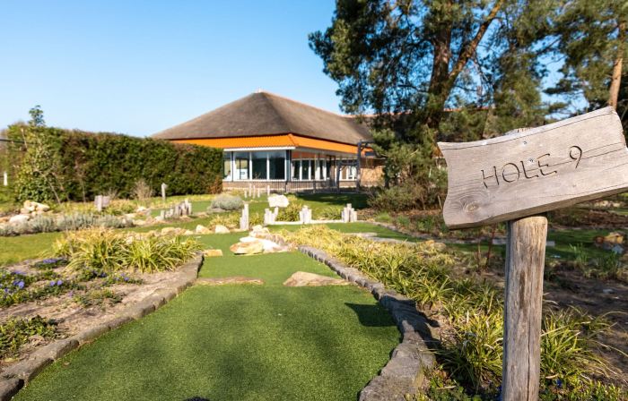 Bungalow in Veluwe Nature Park Retreat